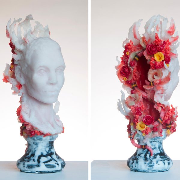 Autumn Berry & Blossom